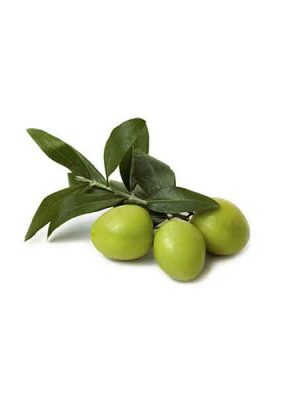 olive-leaves